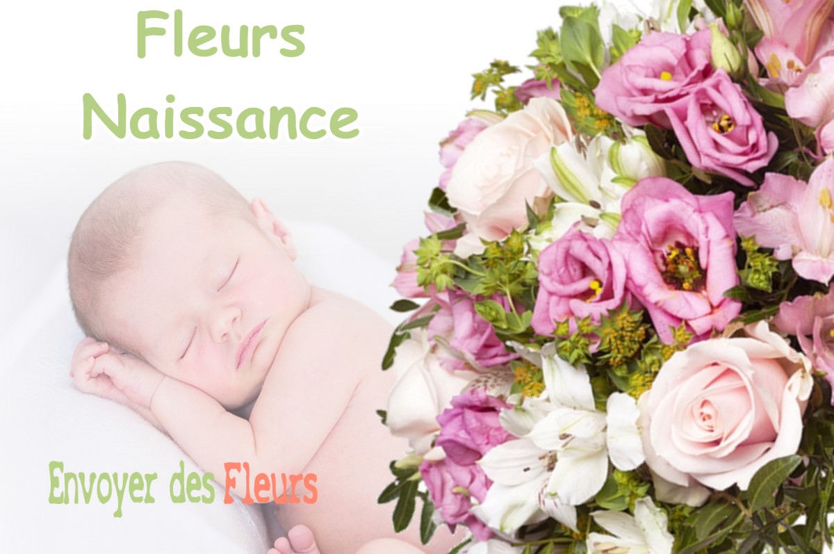 lIVRAISON FLEURS NAISSANCE à NANTERRE